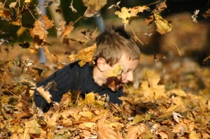 Gabriel enjoying a golden leaf pile