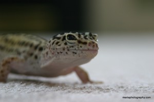 2012-03-23_George_03