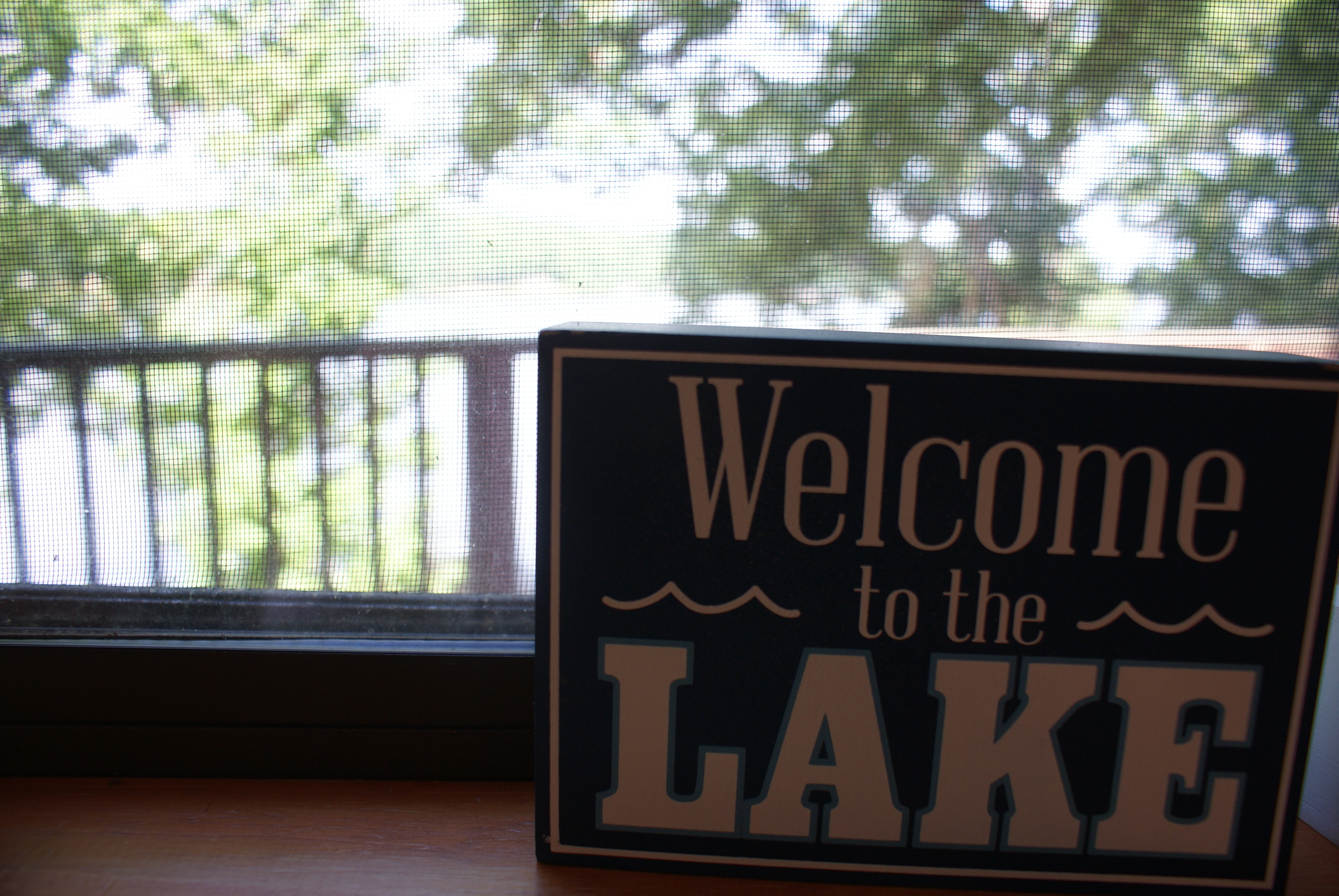 Perry-deMena-Zimmerman-Perry-Ballantyne Summer Family Vacation at Lake Gaston, NC