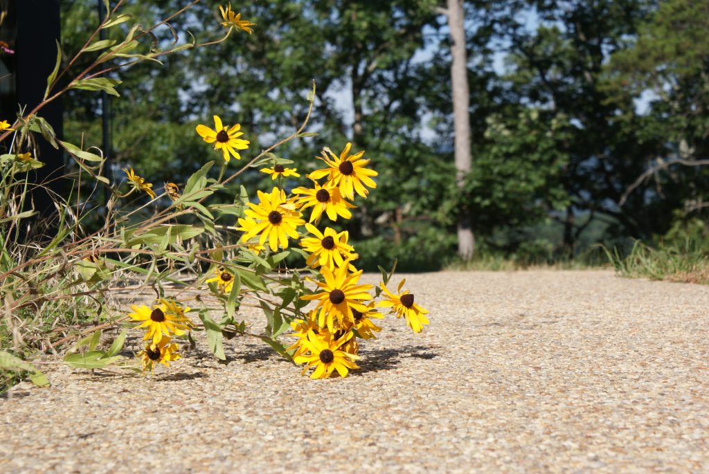 PAPerrys - Shenandoah River