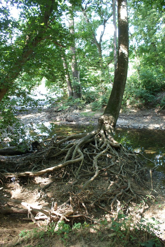 PAPerrys - Shenandoah River